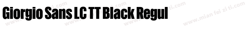 Giorgio Sans LC TT Black Regular字体转换